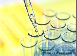 ɢ���Ͱ����������أ�