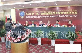 中、美、加学术交流大会主席台现场